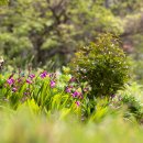 금수산 농원 이미지