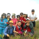 주생초등학교 이미지