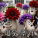 회전스시류 네이버블로그