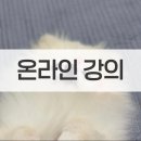 부산평생교육원