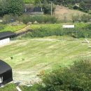 짱구애견 이미지