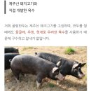 인천굴림만두