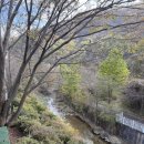 또오리 | [춘천] 엘리시안강촌맛집 &#34;강촌또오리&#34; 다녀온 후기