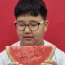 MTA남부태권도장 이미지