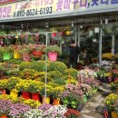 은혜화원 이미지