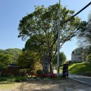 산사랑 글램핑 이미지