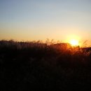 한강 산책 이미지