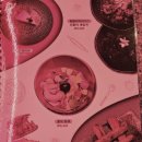 라운지펍 도도 이미지