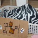 새아리농장 이미지