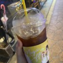 엔돌픽 이미지
