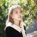 [쿠팩스](17-07) "불펜 왕국을 꿈꾼다. 부사자의 신시내티" 이미지