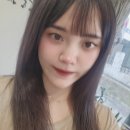히피스트