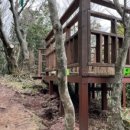 강정동-19 이미지