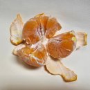 원진클린시스템 이미지