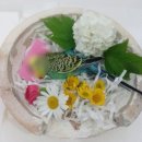 강아지 펫 헤븐 이미지