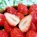 초이스농장 이미지