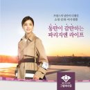 상제리제상가 네이버블로그
