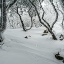 나라부동산공인중개사사무소 네이버블로그