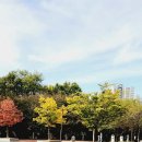 덕이공원 이미지