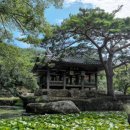 보길윤선도원림 이미지