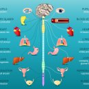 신경한의원 이미지