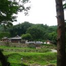 천하명당 이미지