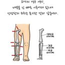 클라라필라테스자이로토닉 네이버블로그