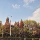 제나스테이 이미지