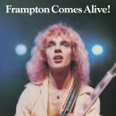 Peter Frampton - Show Me The Way 이미지