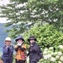 아름다운 그님 이미지