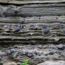 노을해안로 이미지