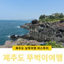 제주도 혼자 3박4일 뚜벅이여행 2일차 제주1번가 원데이 남쪽 버스투어
