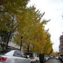 카스타운 이미지