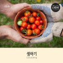 소작인