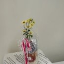 만월청과 이미지