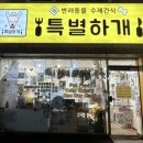 오늘은 특별하개 네이버블로그
