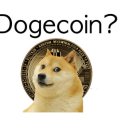 도지(DOGE) 이미지