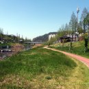 삼향천5 이미지