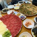 [강릉] 꼬막비빔밥 원조 맛집 엄지네포장마차 내돈내산 솔직후기 (+육사시미)