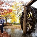 나루메디칼 이미지