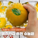 원탑농원 | 태추단감 추천 수농원 껍질째 먹는 단감 내돈내산 후기