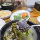 돼지집본가순대 | 대전 둔산동 맛집 설천순대국밥 오랜만에 다시 찾은 깔끔한 순대국밥집 점심 후기