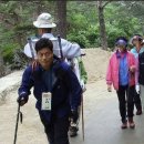 손자와 전생 인연 이미지