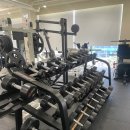 다비드 짐 이미지