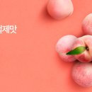전라북도 생생장터 '제철제맛(복숭아 할인)' 소식입니다~ 이미지