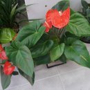 강릉 지구부동산 공인중개사사무소 이미지