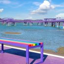 "UN 기구도, CNN도 인정했다니"... 보라색 옷만 입으면 입장료 공짜인 섬 마을 이미지