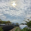 운연역 | 소래산 운연역-내원사-만의골 등산코스