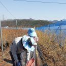 안고랑농장 이미지