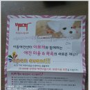 이쁘개(이동애견미용) 이미지
